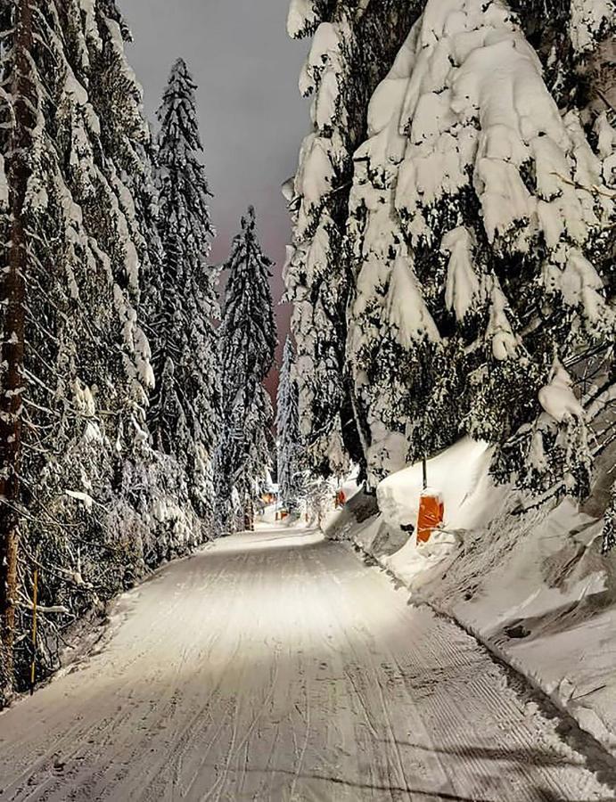 Wolf Apartments Jahorina Buitenkant foto